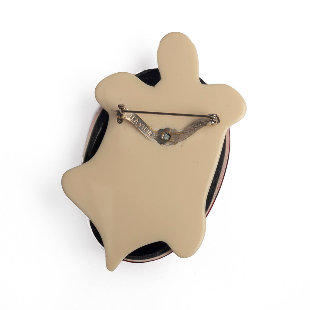 Tortoise brooch shop